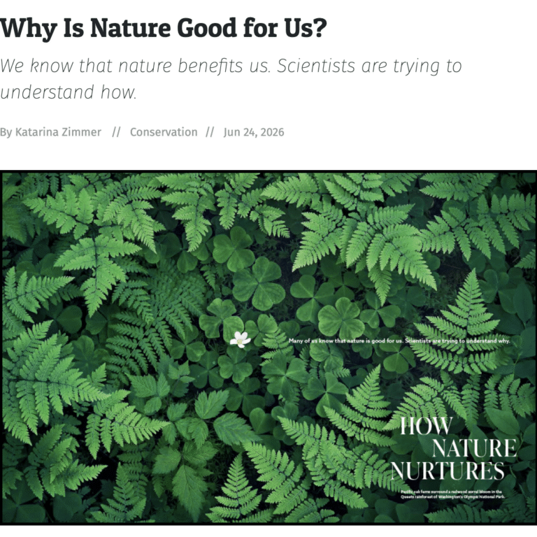 closely packed leaves with title "how nature nurtures"