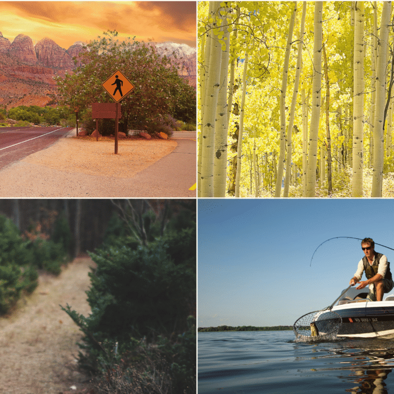 A four-picture collage of a RV, woman riding a horse, woman hiking with a baby, and two men fishing off a boat.